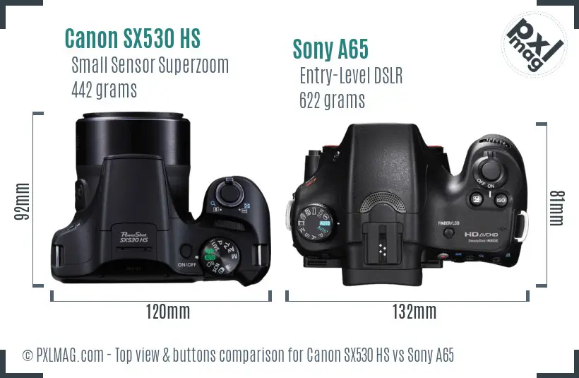 Canon SX530 HS vs Sony A65 top view buttons comparison
