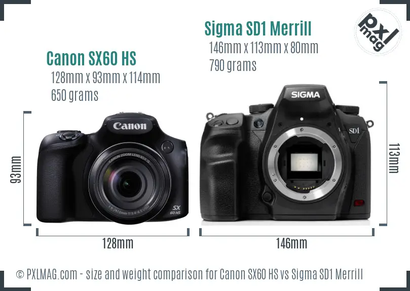 Canon SX60 HS vs Sigma SD1 Merrill size comparison