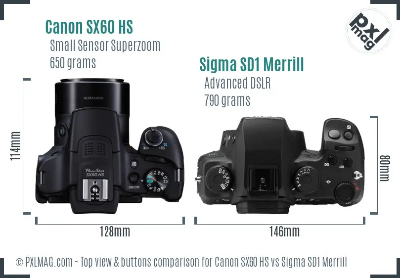 Canon SX60 HS vs Sigma SD1 Merrill top view buttons comparison