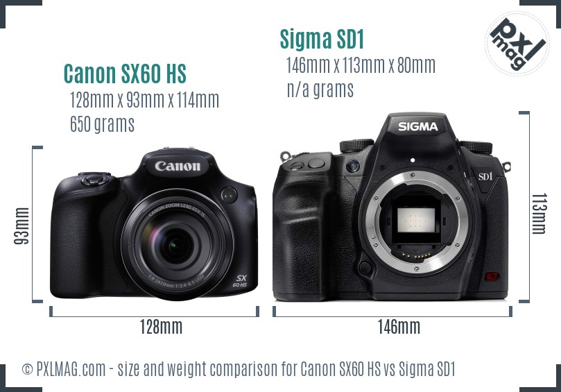 Canon SX60 HS vs Sigma SD1 size comparison