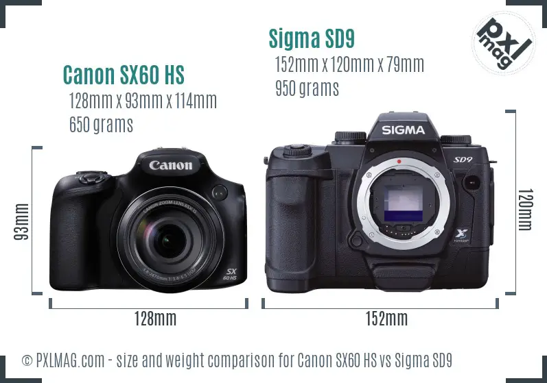 Canon SX60 HS vs Sigma SD9 size comparison