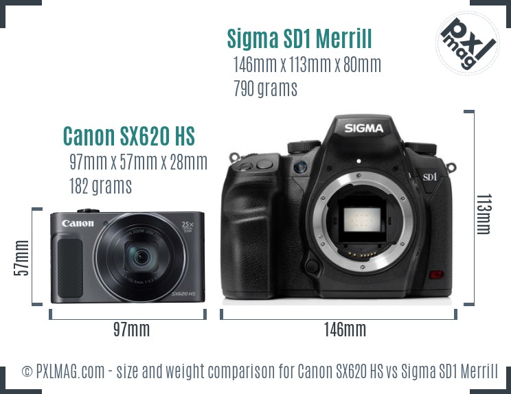 Canon SX620 HS vs Sigma SD1 Merrill size comparison