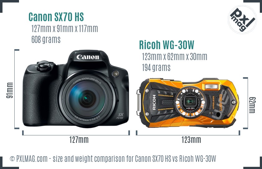 Canon SX70 HS vs Ricoh WG-30W size comparison