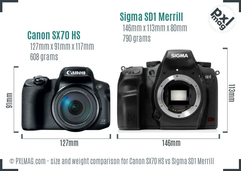 Canon SX70 HS vs Sigma SD1 Merrill size comparison