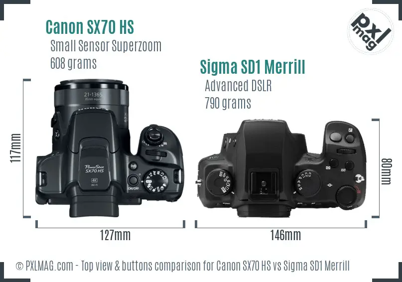Canon SX70 HS vs Sigma SD1 Merrill top view buttons comparison