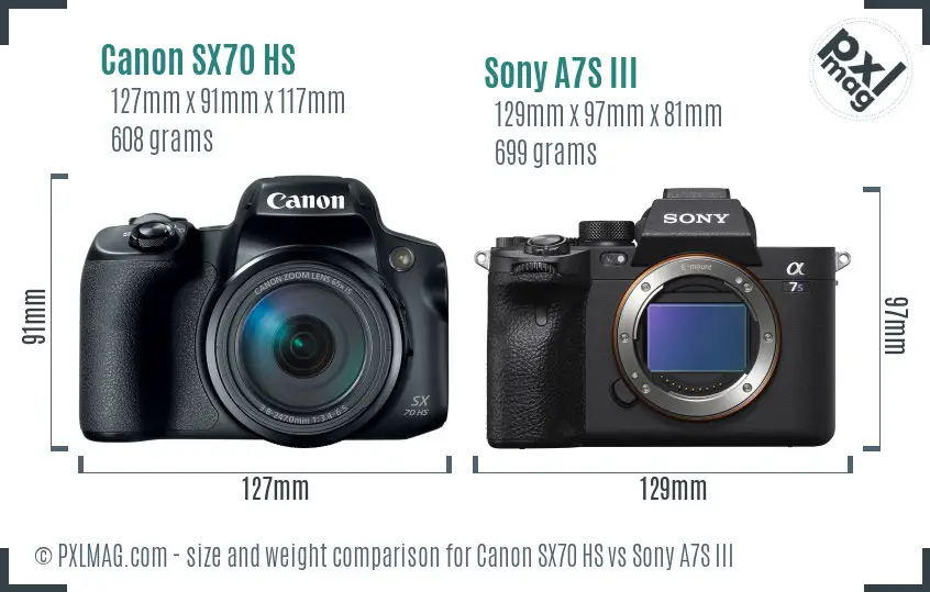 Canon SX70 HS vs Sony A7S III size comparison