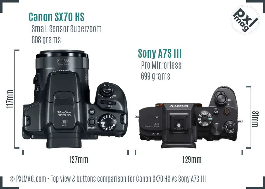 Canon SX70 HS vs Sony A7S III top view buttons comparison