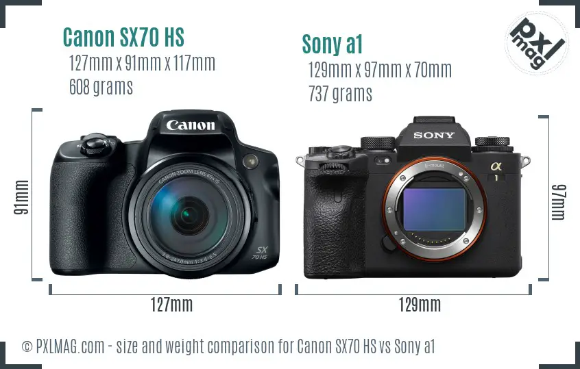 Canon SX70 HS vs Sony a1 size comparison