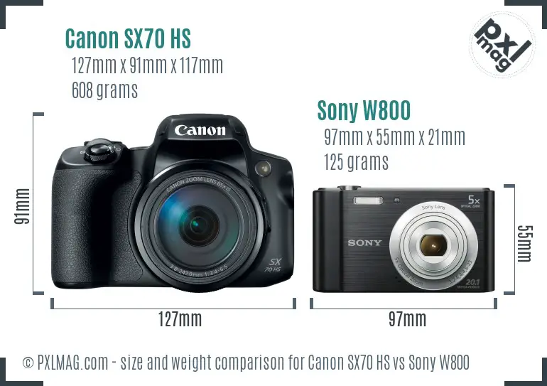 Canon SX70 HS vs Sony W800 size comparison