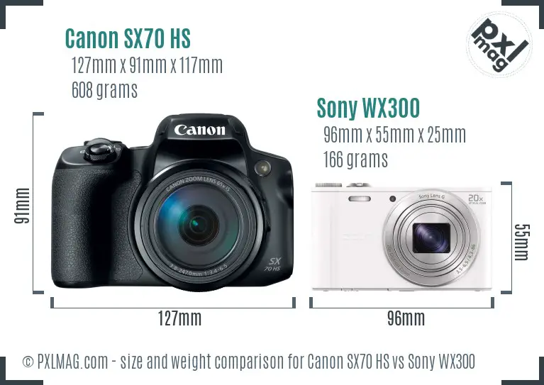 Canon SX70 HS vs Sony WX300 size comparison