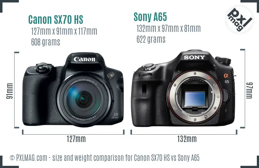 Canon SX70 HS vs Sony A65 size comparison