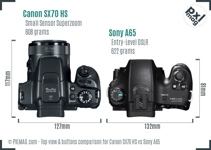 Canon SX70 HS vs Sony A65 top view buttons comparison