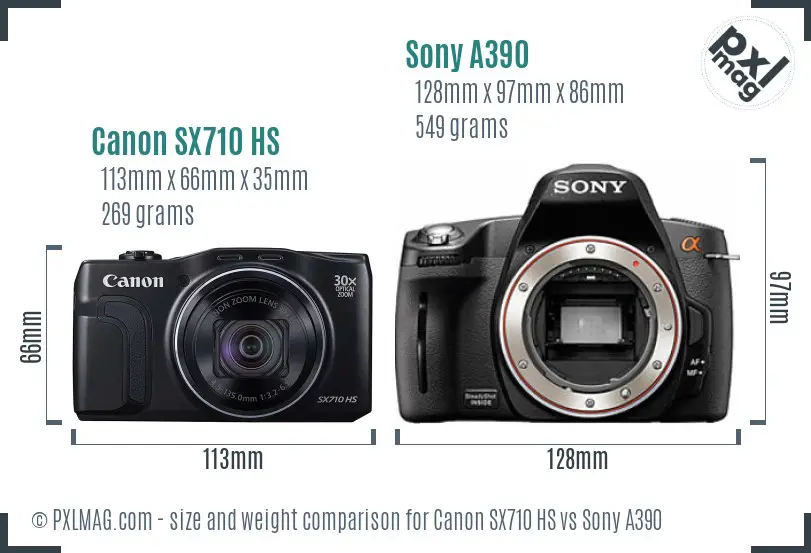size-comparison.jpg