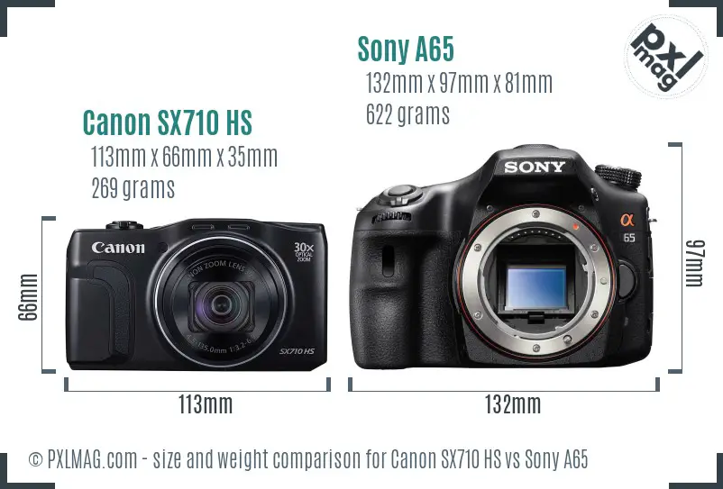 Canon SX710 HS vs Sony A65 size comparison