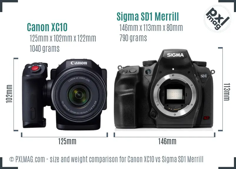 Canon XC10 vs Sigma SD1 Merrill size comparison