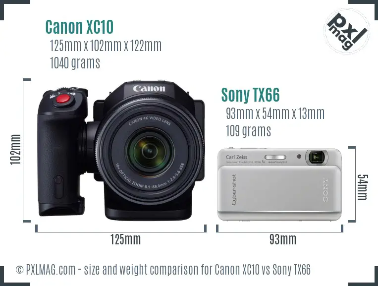 Canon XC10 vs Sony TX66 size comparison