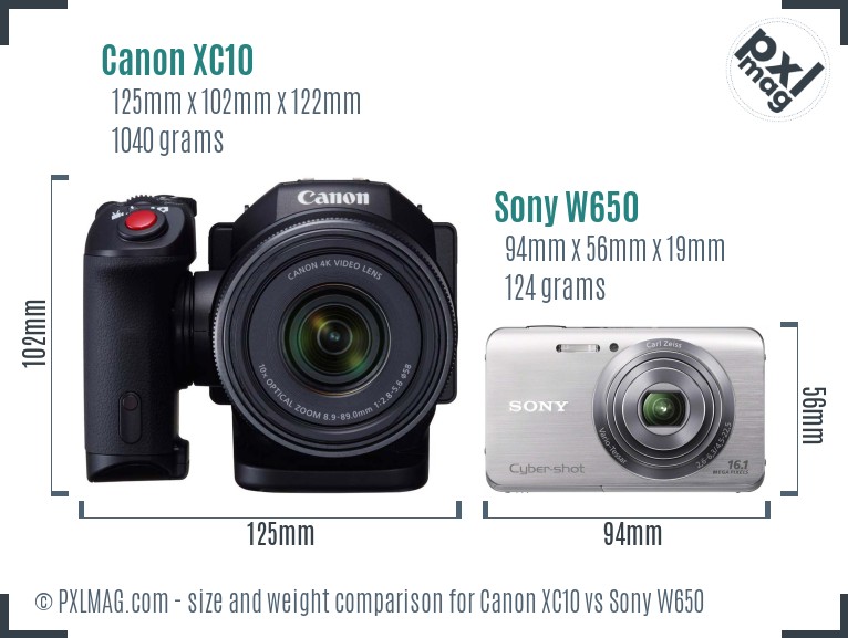 Canon XC10 vs Sony W650 size comparison