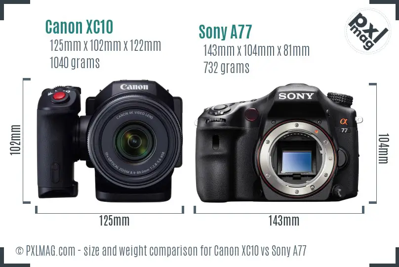 Canon XC10 vs Sony A77 size comparison