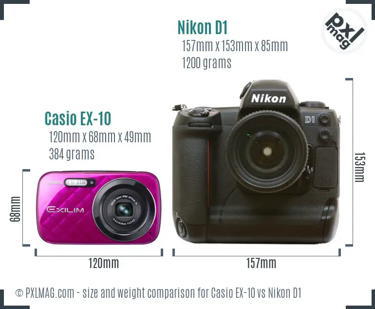 Casio EX-10 vs Nikon D1 size comparison