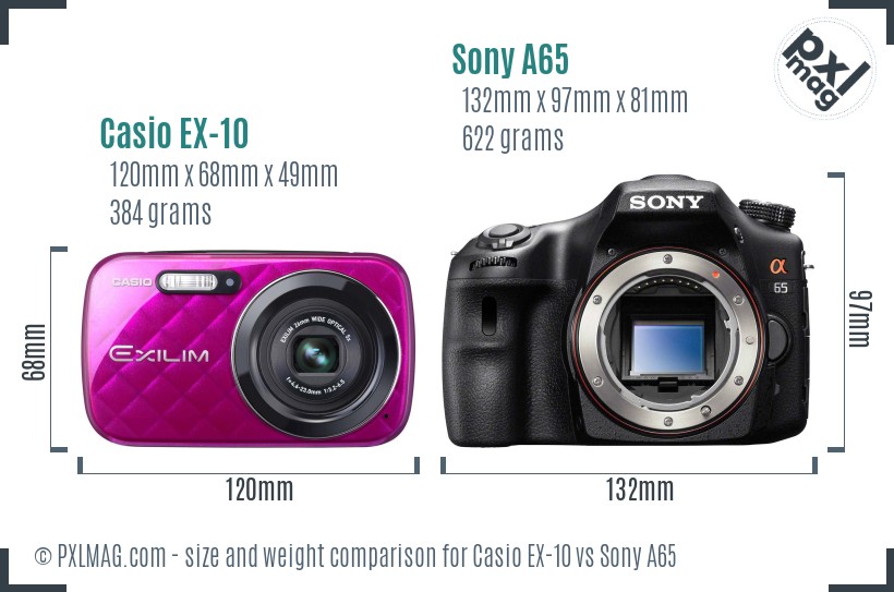 Casio EX-10 vs Sony A65 size comparison