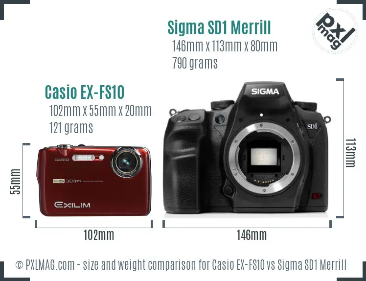 Casio EX-FS10 vs Sigma SD1 Merrill size comparison