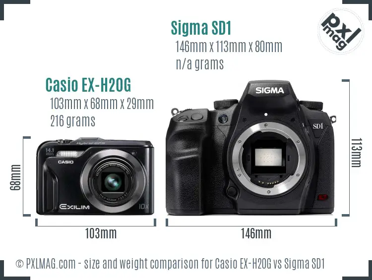 Casio EX-H20G vs Sigma SD1 size comparison Casio EX-H20G vs Sigma SD1 size comparison