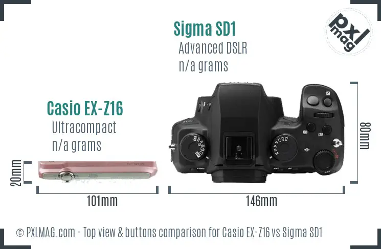 Casio EX-Z16 vs Sigma SD1 top view buttons comparison
