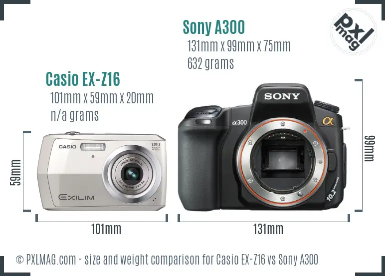 Casio EX-Z16 vs Sony A300 size comparison