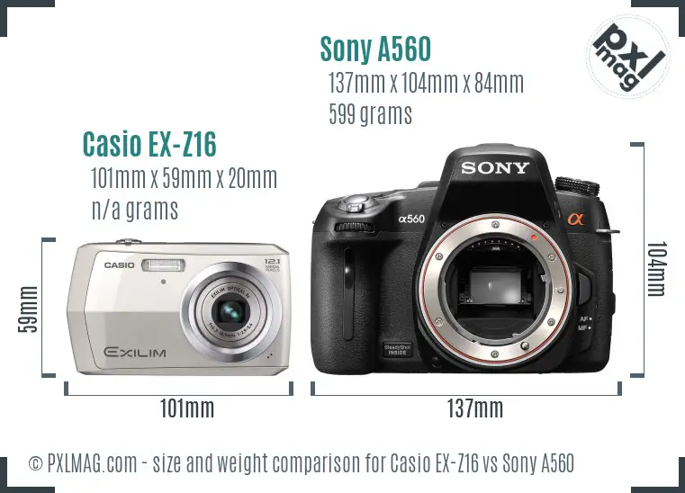 Size comparison