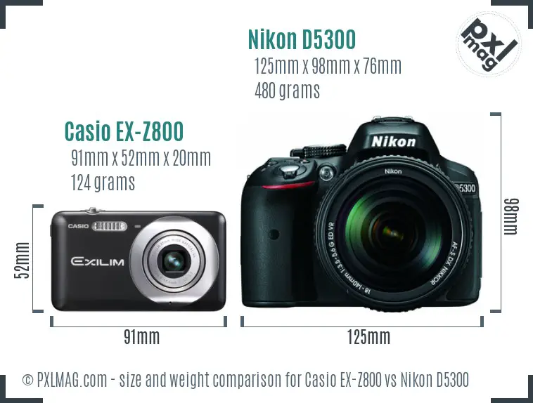 Casio EX-Z800 vs Nikon D5300 size comparison