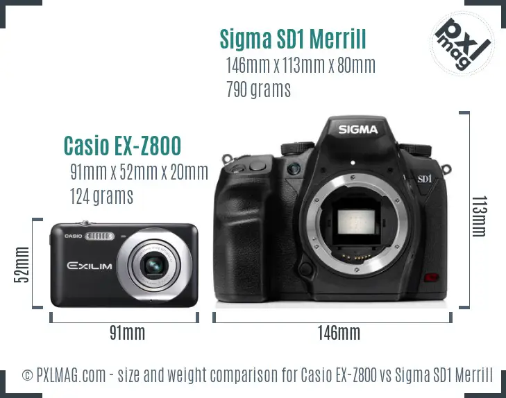 Casio EX-Z800 vs Sigma SD1 Merrill size comparison