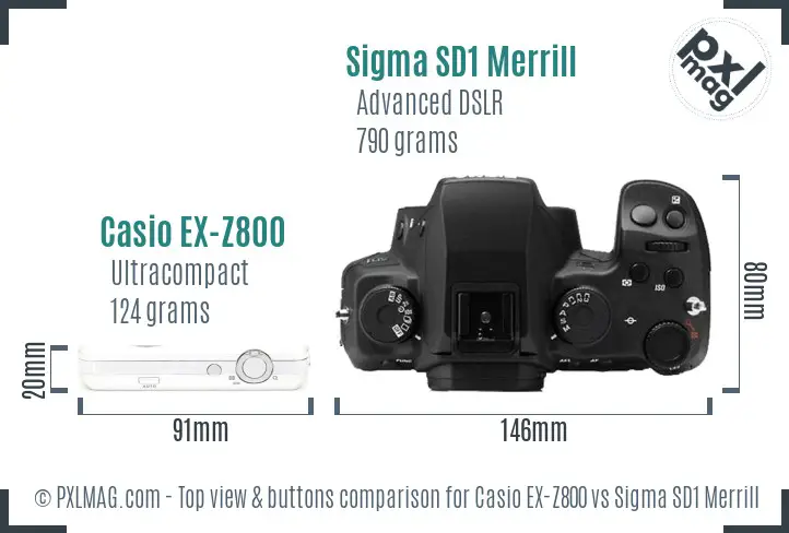 Casio EX-Z800 vs Sigma SD1 Merrill top view buttons comparison