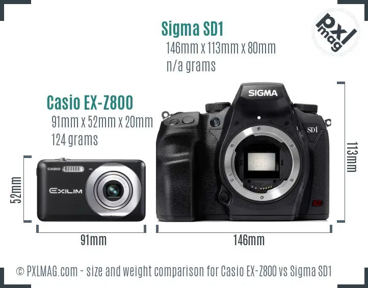 Casio EX-Z800 vs Sigma SD1 size comparison