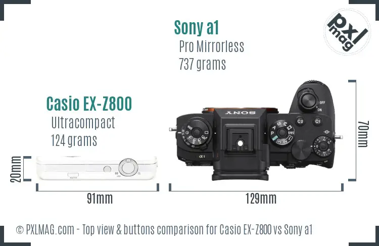 Casio EX-Z800 vs Sony a1 top view buttons comparison