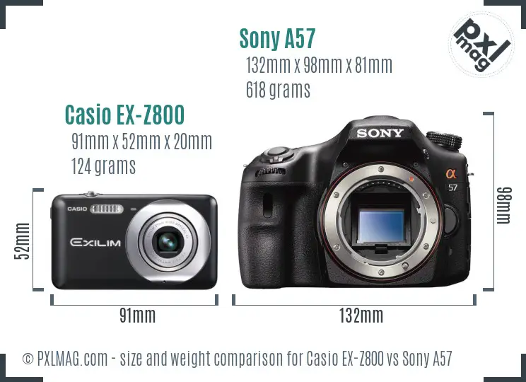 Casio EX-Z800 vs Sony A57 size comparison Casio EX-Z800 vs Sony A57 size comparison