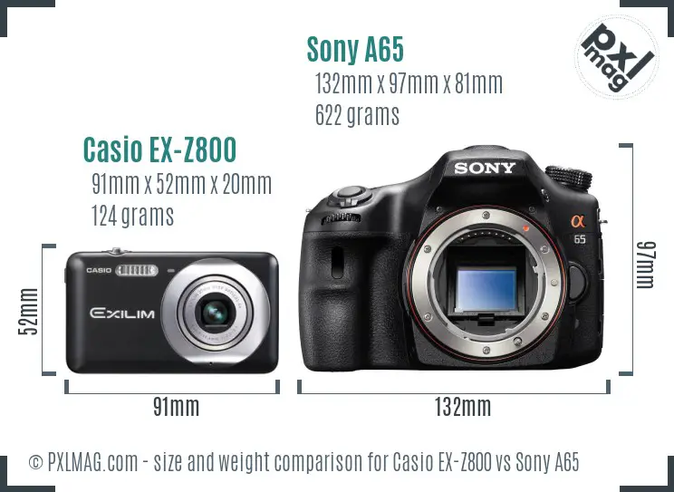 Casio EX-Z800 vs Sony A65 size comparison