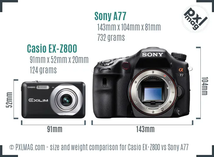 Casio EX-Z800 vs Sony A77 size comparison