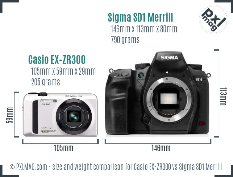 Casio EX-ZR300 vs Sigma SD1 Merrill size comparison