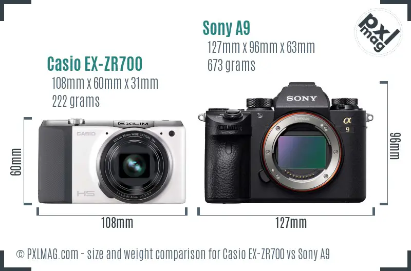 Casio EX-ZR700 vs Sony A9 size comparison Casio EX-ZR700 vs Sony A9 size comparison