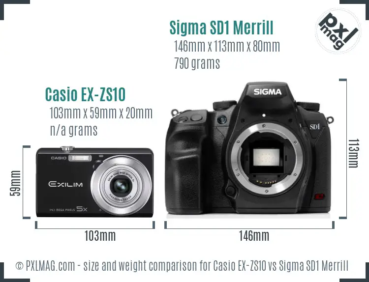Casio EX-ZS10 vs Sigma SD1 Merrill size comparison