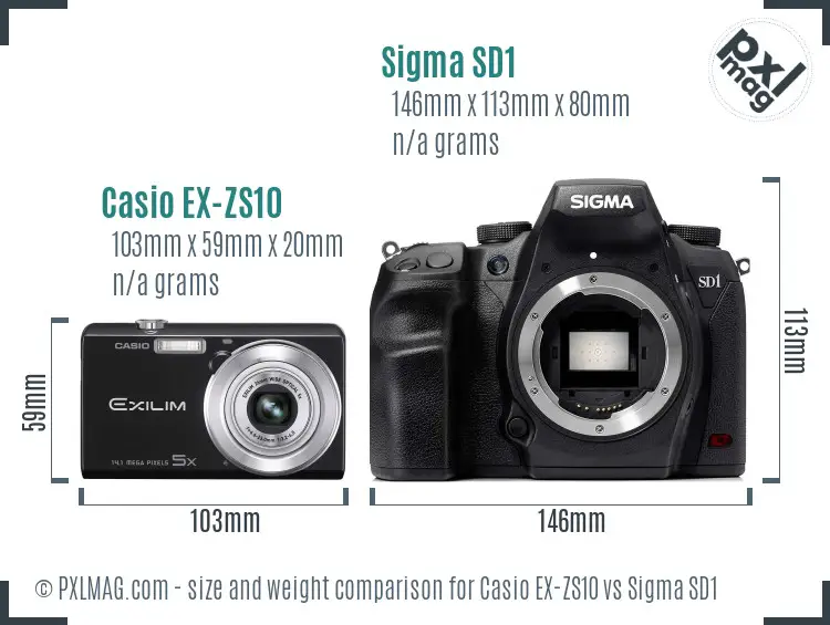 Casio EX-ZS10 vs Sigma SD1 size comparison