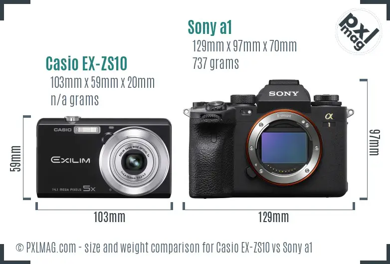 Casio EX-ZS10 vs Sony a1 size comparison