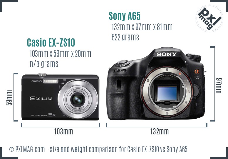 Casio EX-ZS10 vs Sony A65 size comparison