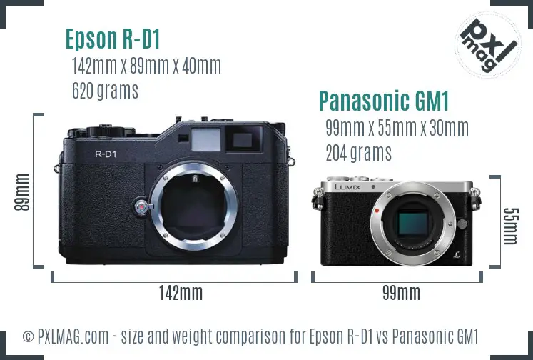 Epson R-D1 vs Panasonic GM1 size comparison