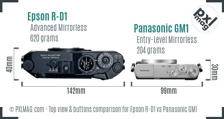 Epson R-D1 vs Panasonic GM1 top view buttons comparison