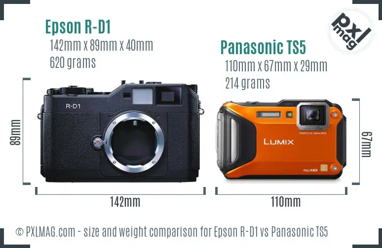 Epson R-D1 vs Panasonic TS5 size comparison