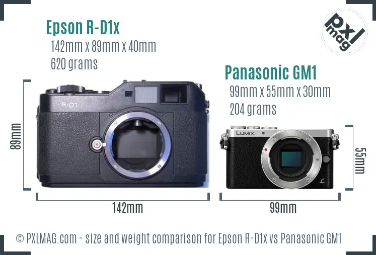 Epson R-D1x vs Panasonic GM1 size comparison