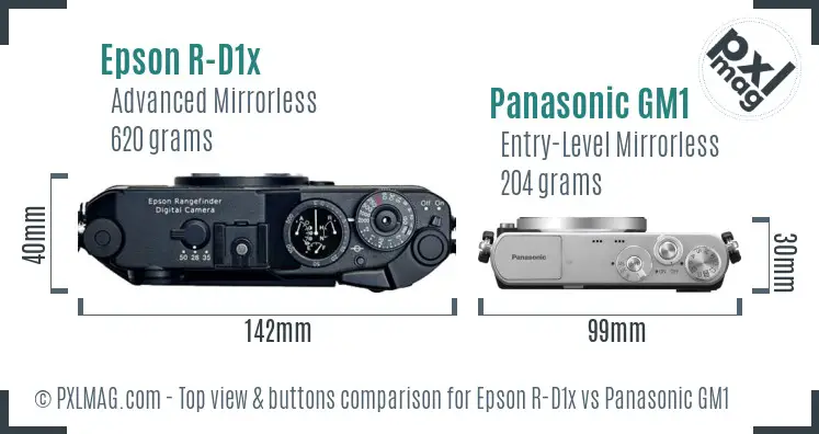 Epson R-D1x vs Panasonic GM1 top view buttons comparison