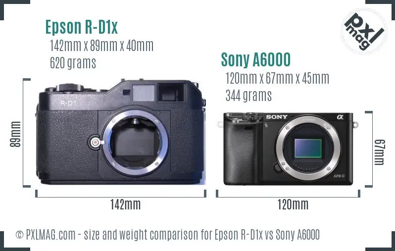 Epson R-D1x vs Sony A6000 size comparison Epson R-D1x vs Sony A6000 size comparison