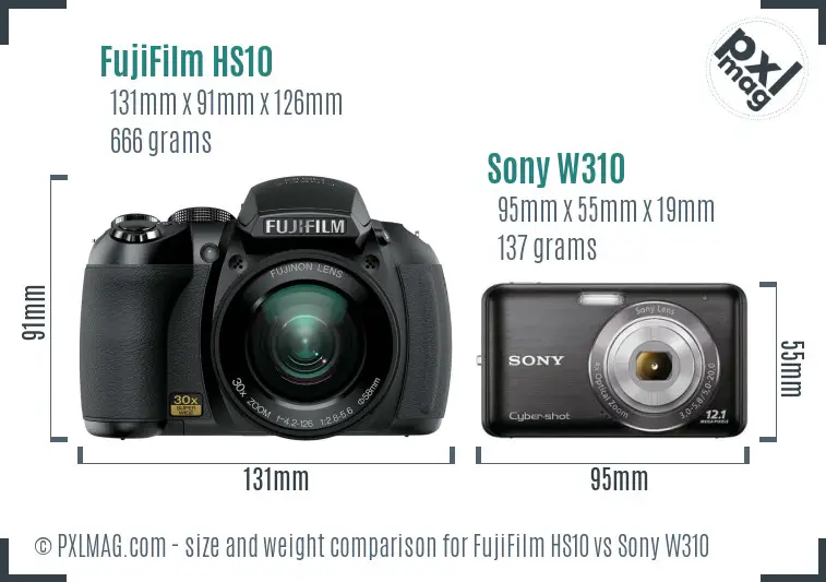 FujiFilm HS10 vs Sony W310 size comparison